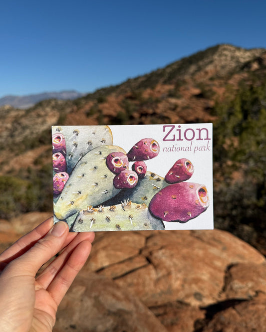 Prickly Pear Postcard