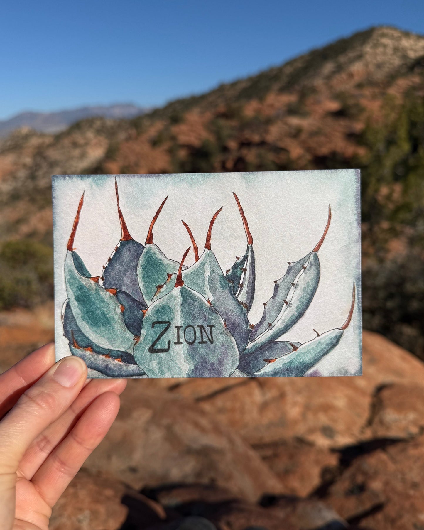 Artichoke Agave Postcard