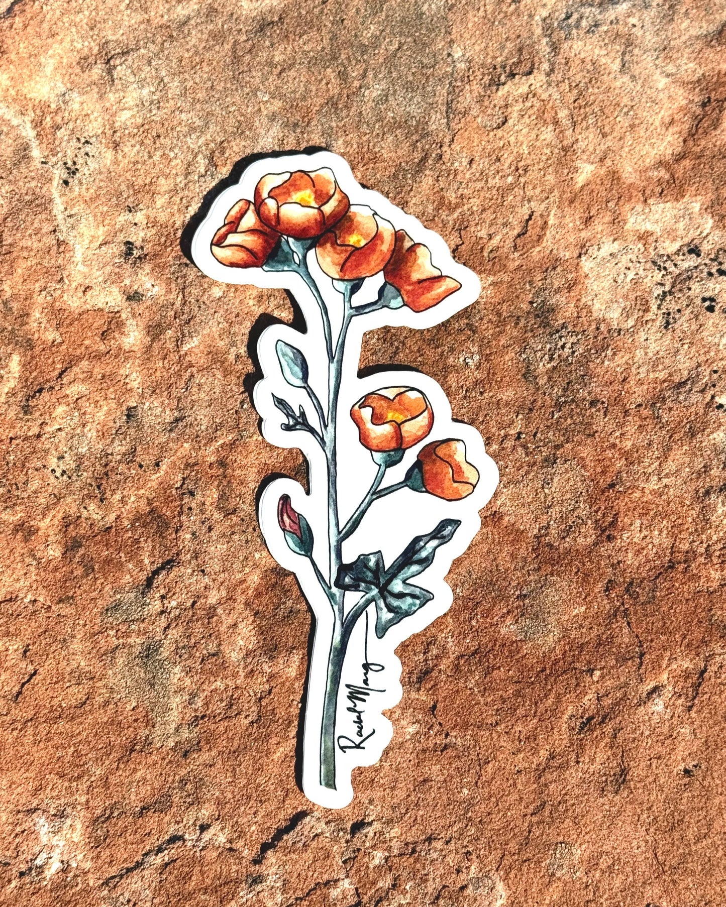 Desert Globemallow Sticker Small