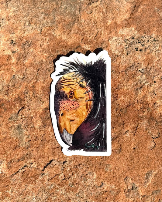 Condor Portrait Sticker