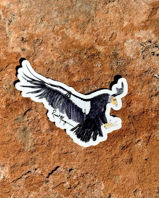 Condor P6 Sticker