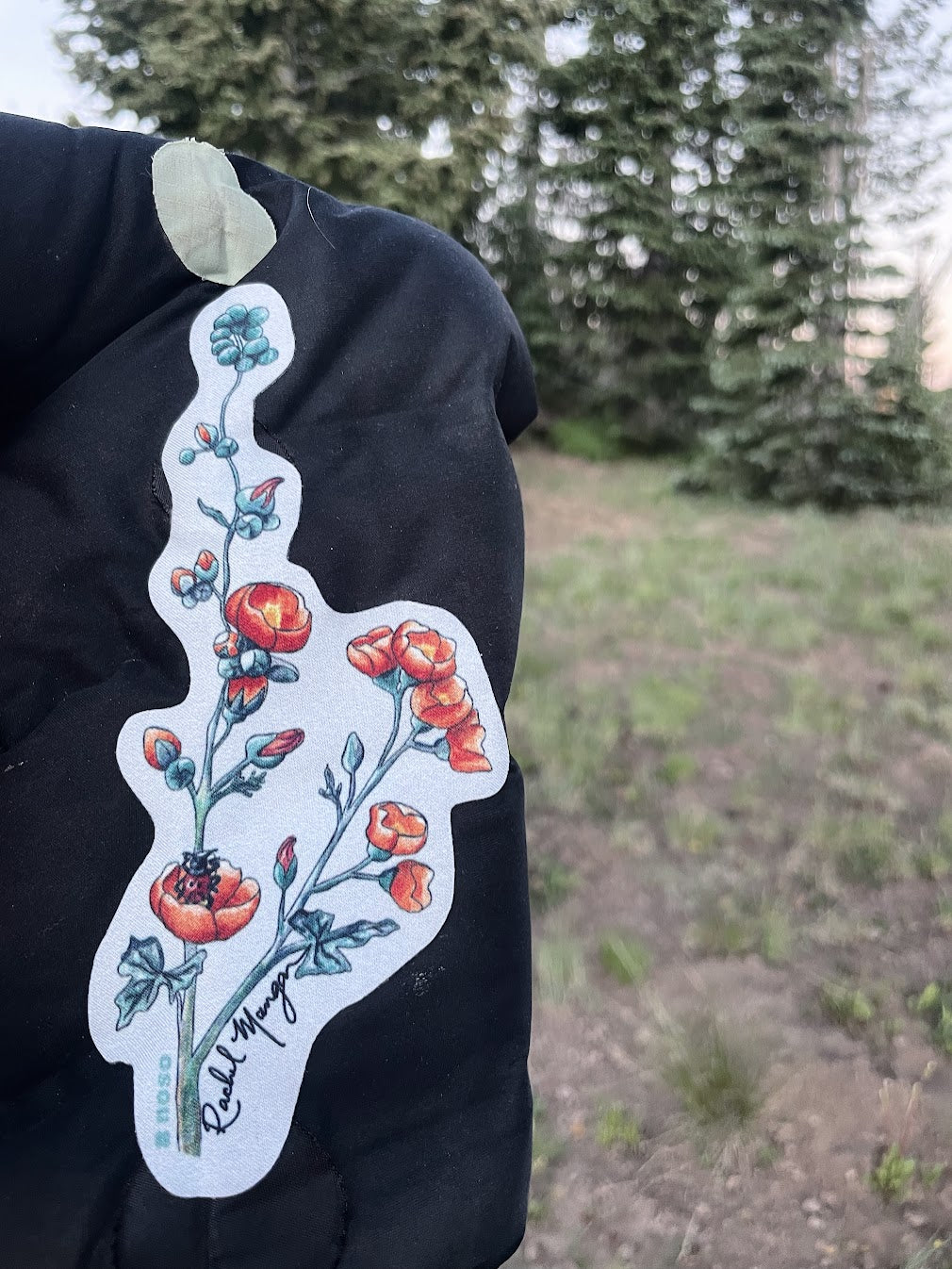 NOSO Globemallow Patch