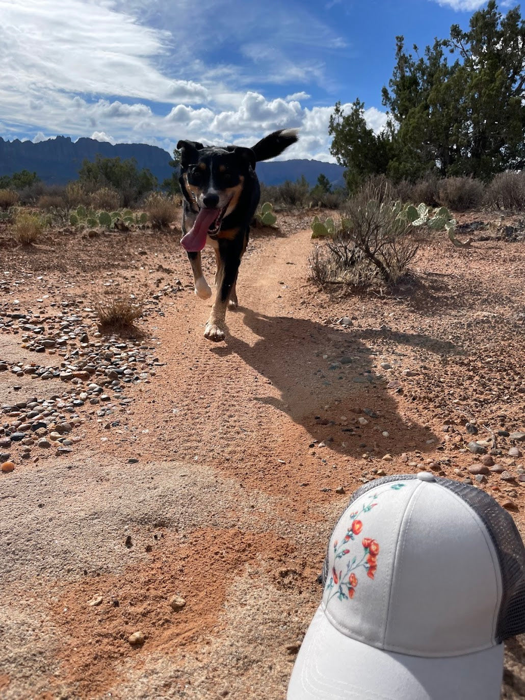 Globemallow Trucker Hat