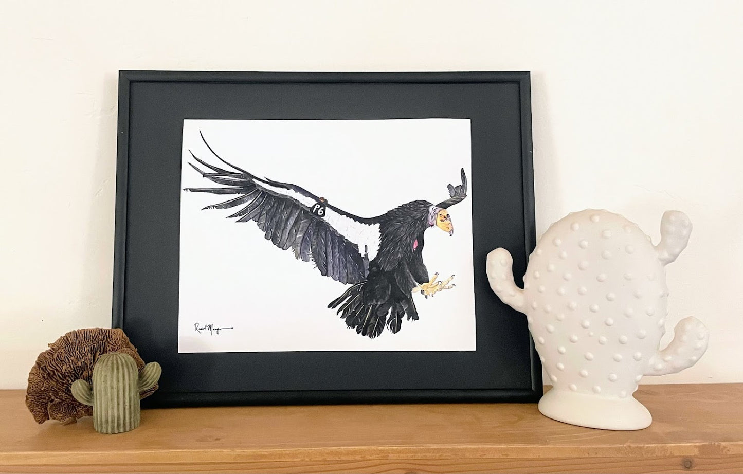 Condor P6 Watercolor Giclee