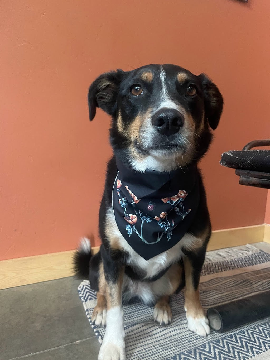 Globemallow Bandana